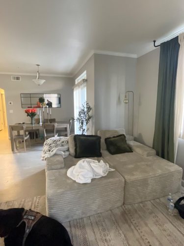 Clearance Sale-81" Boneless Sofa(Both Sides) photo review