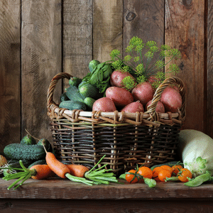 vegetable seeds for planting home garden plant seeds vegetable plants seeds greenhouse homesteading vegetable seeds for planting home garden plant seeds vegetable plants seeds greenhouse homesteading