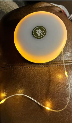 4-in-1 Camp Light photo review