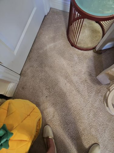 Shark StainStriker Portable Carpet & Upholstery Cleaner photo review