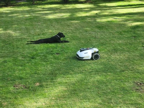 MAMMOTION YUKA Perimeter Wire Free Robot Lawn Mower photo review
