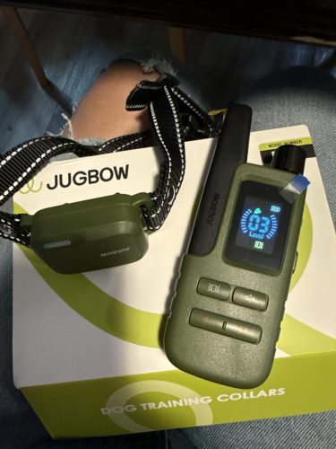 Jugbow Dog Shock Collar photo review