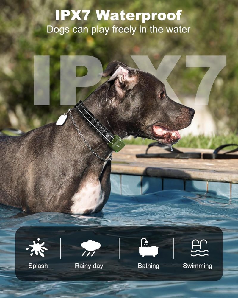 Jugbow Dog Shock Collar - Image 4