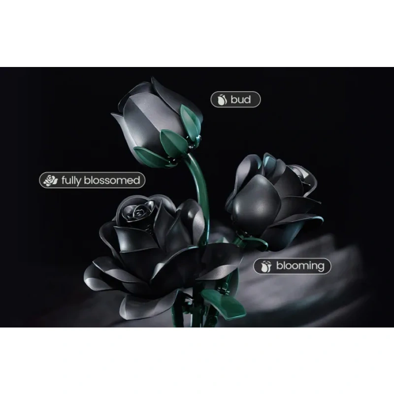 Black Rose Bouquet - Image 4
