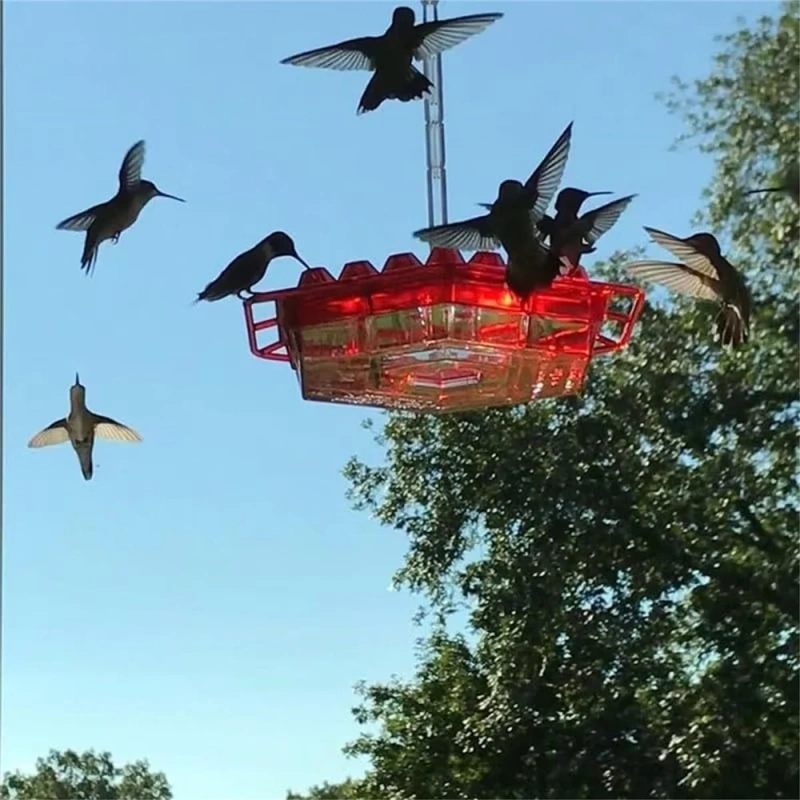 Hanging Outdoor Hummingbird Feeder - Image 5